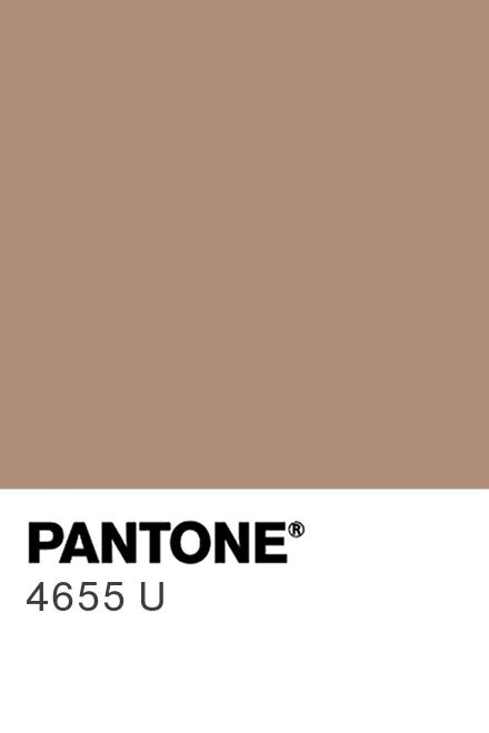 Pantone 4655 U information, conversion and buy paint