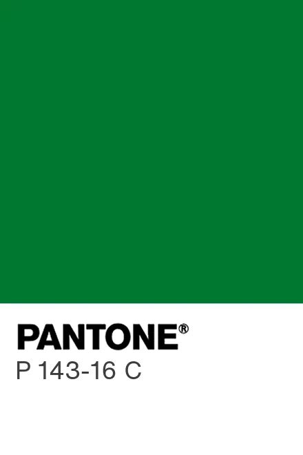 Pantone P 143-16 C Color #007830 - iColorpalette