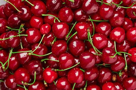 Delicious U-Pick Cherries! Get Started! A Family Operated Cherry Orchard! Get Started! Updates Here. Brentwood. 91° Sunny. 7:08 am6:39 pm PDT .... 