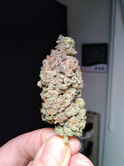 About this product. Papa Smurf tastes like sweet berries of the forest, with ripe notes of black cherry and pine. A sativa-dominant hybrid, it offers a gradual, euphoric high that’s gentle on .... 