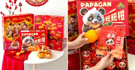 Papagan Halı ve Koltuk Yıkama