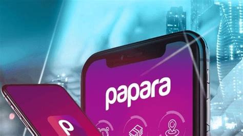 Papara bddk