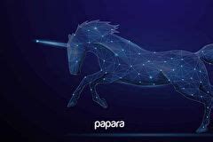 Papara fiyat