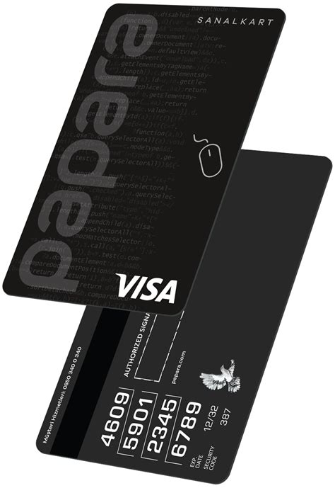 Papara visa card