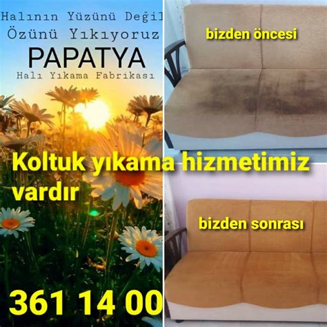 Papatya  Sokak Hali Yikama Bul Servisi