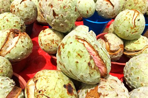 Papausa is a prehispanic fruit found in Chiapas seasonally around th