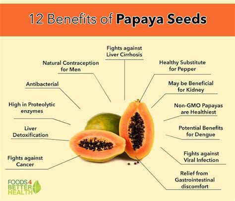 Papaya: Uses, Side Effects, Dose, Health Benefits ... - eMedicineHealth