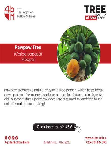 Papaya pdf.  While the name pawpaw is widely recognized, it Introduction Insect and...