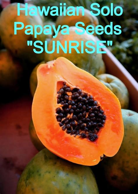 Get details and read the latest customer reviews about Papaya Sunr