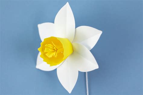 Paper Daffodils Template