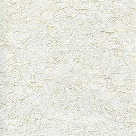 Paper Japan Ginwashi White 25x37 : Amazon.ca: Home