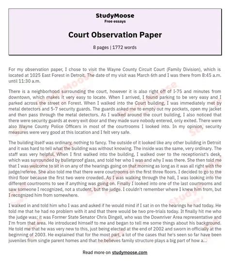 Paper Observation Example Court