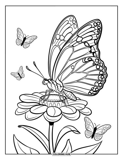 Papillon Coloring