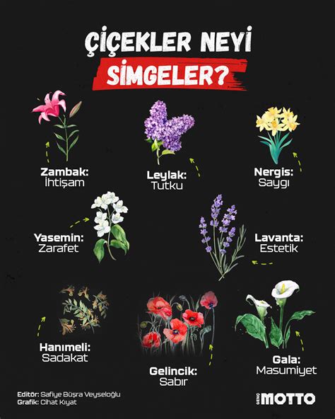 Papyon neyi simgeler.