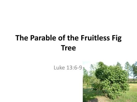 Parable Of The Fig Tree Powerpoint
