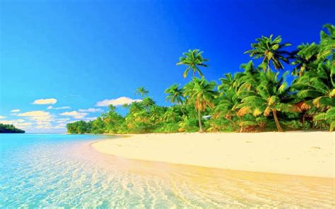 Paradise&Gehenna (@ElcinYolcu) Twitter. 