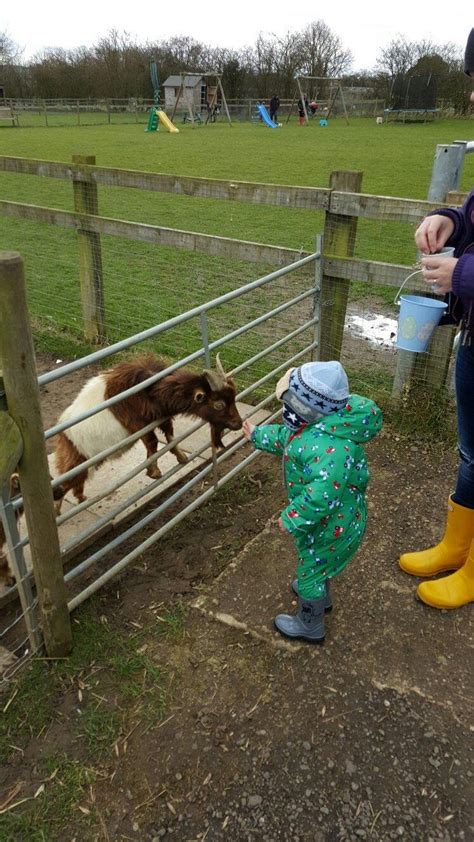 Paradise Found Educational Farm Park - Tripadvisor