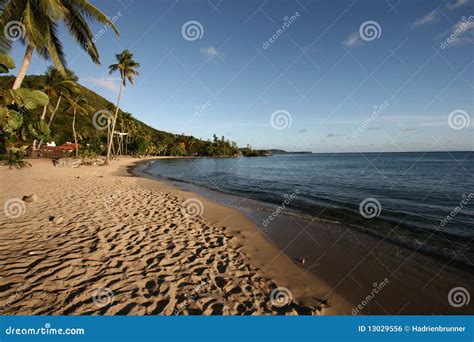 🔥 Paradisecaribbean Leaked [HD]