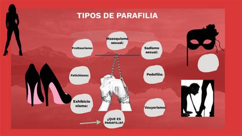 Parafili &ndash; Wikipedia