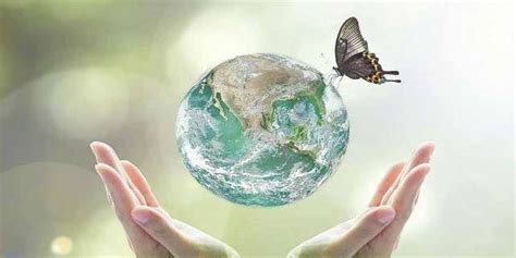 veodersti.rgarabwor.edu.pl. 