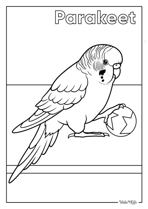 Castle Point Coloring Books