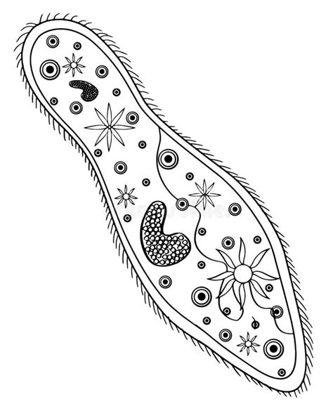 Anime Girl Coloring Pages For Girls