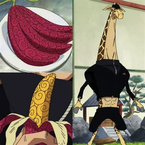 Op-Op Fruit - Trafalgar Law Photo: Toei Animation Trafalgar Law's Op-Op Fruit is one of the more complex ones on this list, but here are the basics. He can create a 'room' where anything that happens inside of it is under his control..