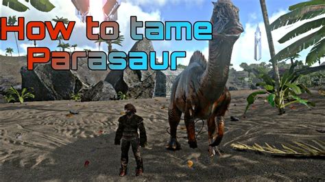 "How To Tame A Parasaur Ark: Survival Evolved! One of THE most useful starter tames! We're going to learn how to tame a Parasaur, what they are used for, and how they can help YOU survive the ARK! This is a Beginners Series of Guides that are aimed to help newer players learn the ropes of ARK: Survival Evolved!. 