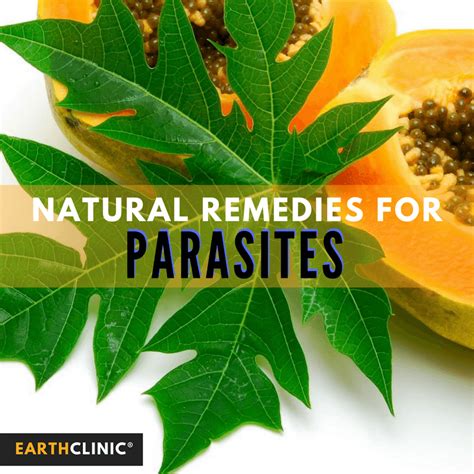 Parasite Remedies and Natural Cleanses - Earth Clinic