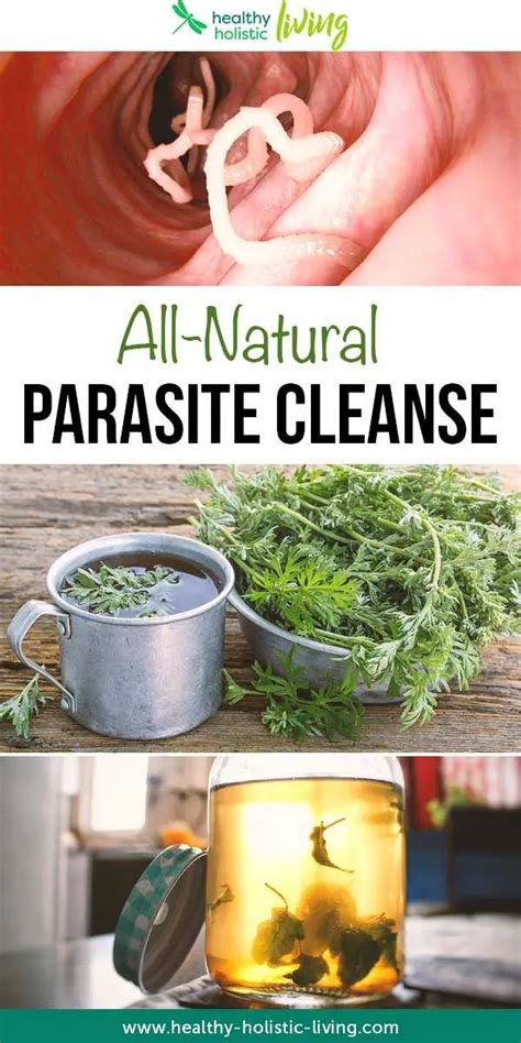 A Closer Look At A Parasite Cleanse Diet. Any form