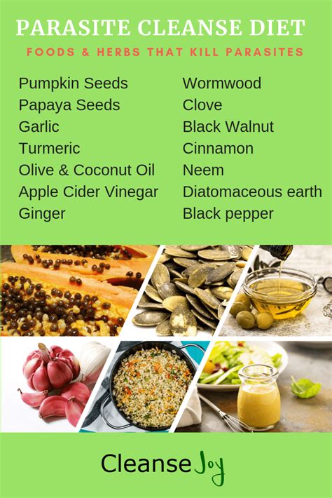 Parasite cleanse recipes. Parasite Cleanse Diet Meal Plan Examples To get a sense of how you can include these anti-parasitic foods and high-fiber foods in your diet, we wanted to provide some parasite diet cleanse recipes and parasite diet meal plan examples. Keep in mind that these are just simple ideas of what you could eat during your cleanse. 
