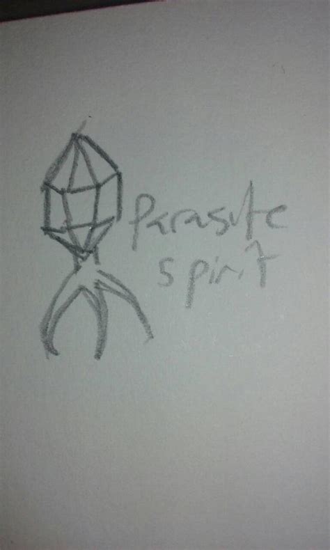 Parasite spirit. Things To Know About Parasite spirit. 
