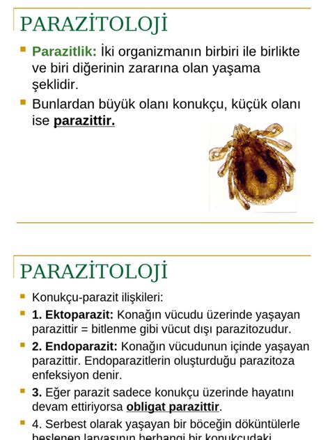 Parazitoloji Vikipedi.