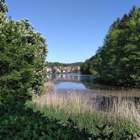 Parc Tournay-Solvay — Wikipédia