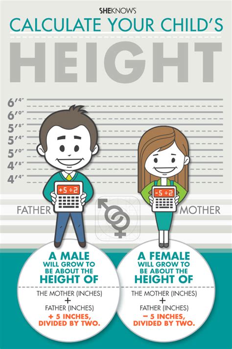Parent height calculator. The height calculator, using the mid-parental method, estimates how tall a child will be as an adult, based on the height of the mother and father. 