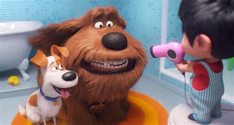 Parent reviews for The Secret Life of Pets 2 - Common Sense Media