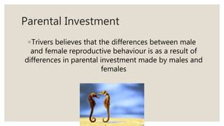 Parental investment - SlideShare