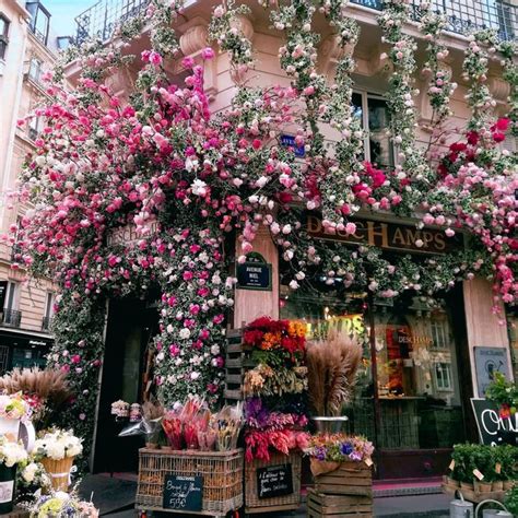 Paris Flowers - Florist and Flower Shops in Paris, Texas