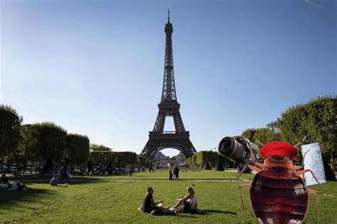 Paris is disgusting, and I love it: A bedbug’s tale