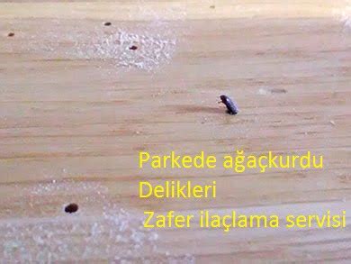 Parkedeki delikler Zafer Mühendislik Haşere ilaçlama .
