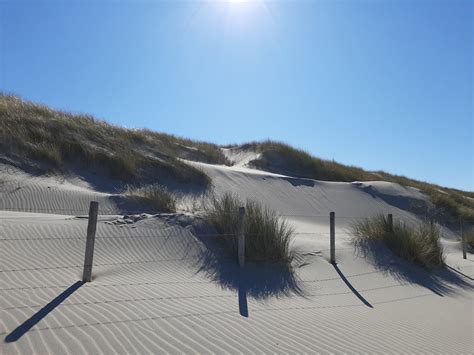 Parkeren bij het strand in Westland: dit moet je weten