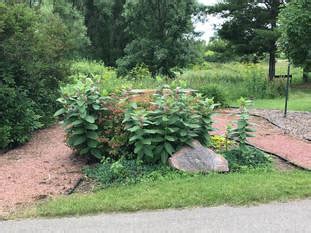 Parking and Facilities - Friends of Military Ridge Trail