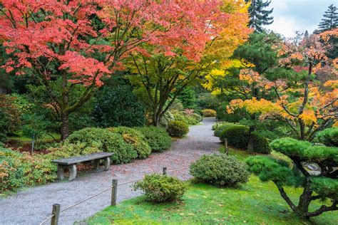 Parks in seattle washington. Interlaken Park is located in the North Capitol Hill neighborhood at 2451 Delmar Dr E, 98102. It is 51.7 acres. Self-GuiDed Tour. 