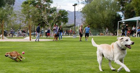 Parks with dogs. May 9, 2023 · National parks welcome pets—in developed areas, on many trails and campgrounds, and in some lodging facilities. The National Park Service preserves special places for visitors to enjoy—even with your furry family members. 