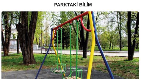Parktaki