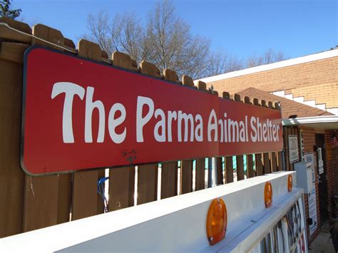 Parma Animal Shelter | 108 followers on LinkedIn. Company Overview The Parma Animal Shelter is run by volunteers under the direction of the city warden for the stray and …