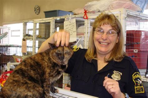 The Parma Animal Shelter is located at 6260 State Road. 117. shares. By . ... The Parma Animal Shelter, which can house roughly 60 cats and 20 dogs, boasts nearly 240 volunteers. In 2019, the .... 