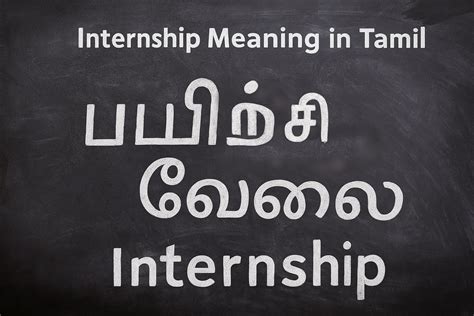 Parpan meaning tamil. .  ...