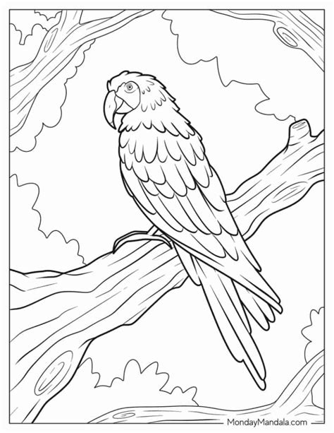 Bobbie Coloring Pages