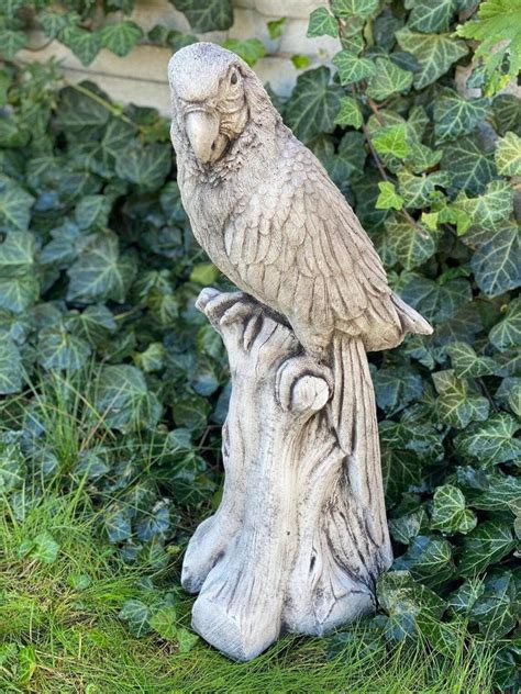 Parrot Statue - Etsy